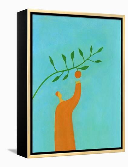 Man picking an orange-Marie Bertrand-Framed Premier Image Canvas