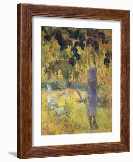 Man Picking Fruit from a Tree, 1897-Paul Gauguin-Framed Giclee Print