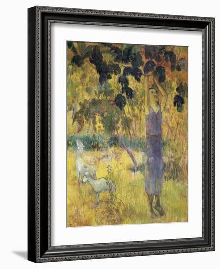 Man Picking Fruit from a Tree, 1897-Paul Gauguin-Framed Giclee Print