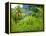 Man Poking a Coconut from a Tree on His Farm, Delices, Dominica, Windward Islands, West Indies, Car-Kim Walker-Framed Premier Image Canvas