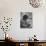 Man Reading a Newspaper While Wearing a Fedora Hat with a Flattened Top and Slim Brim-Ralph Morse-Photographic Print displayed on a wall