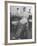 Man Receiving a Shave in a Barber Shop-Cornell Capa-Framed Photographic Print