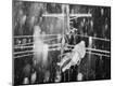Photographic Print