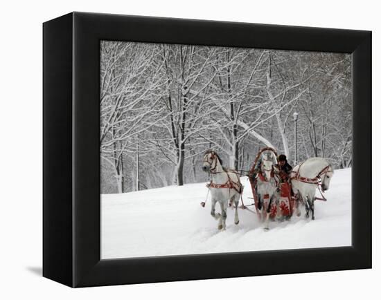 Man Rides a Sleigh Carrying Tourists in Park on a Bank of Moskva River at Outskirts of Moscow-null-Framed Premier Image Canvas