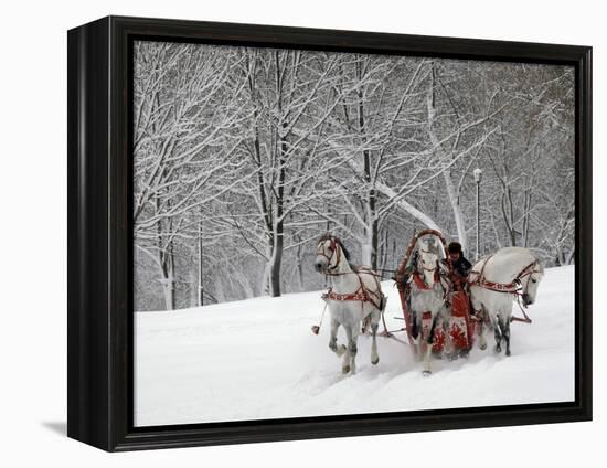 Man Rides a Sleigh Carrying Tourists in Park on a Bank of Moskva River at Outskirts of Moscow-null-Framed Premier Image Canvas