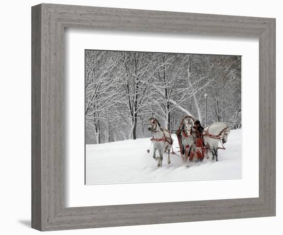 Man Rides a Sleigh Carrying Tourists in Park on a Bank of Moskva River at Outskirts of Moscow-null-Framed Photographic Print