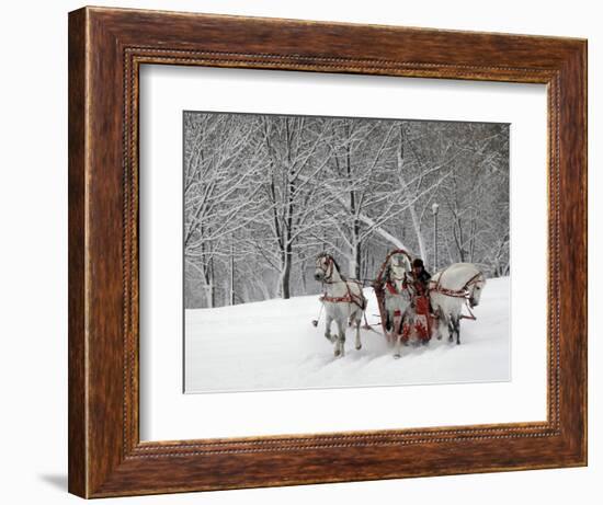 Man Rides a Sleigh Carrying Tourists in Park on a Bank of Moskva River at Outskirts of Moscow-null-Framed Photographic Print