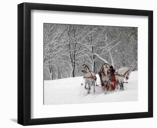 Man Rides a Sleigh Carrying Tourists in Park on a Bank of Moskva River at Outskirts of Moscow-null-Framed Photographic Print