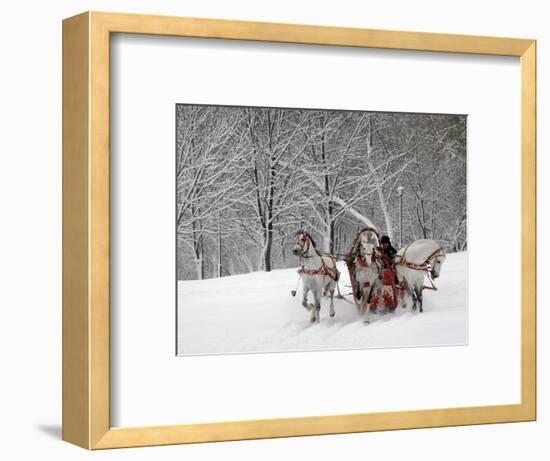 Man Rides a Sleigh Carrying Tourists in Park on a Bank of Moskva River at Outskirts of Moscow-null-Framed Photographic Print