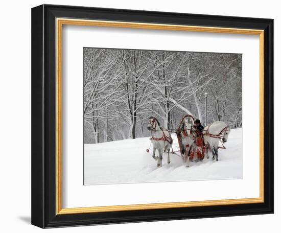 Man Rides a Sleigh Carrying Tourists in Park on a Bank of Moskva River at Outskirts of Moscow-null-Framed Photographic Print