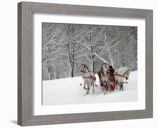 Man Rides a Sleigh Carrying Tourists in Park on a Bank of Moskva River at Outskirts of Moscow-null-Framed Photographic Print