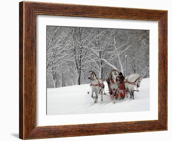 Man Rides a Sleigh Carrying Tourists in Park on a Bank of Moskva River at Outskirts of Moscow-null-Framed Photographic Print