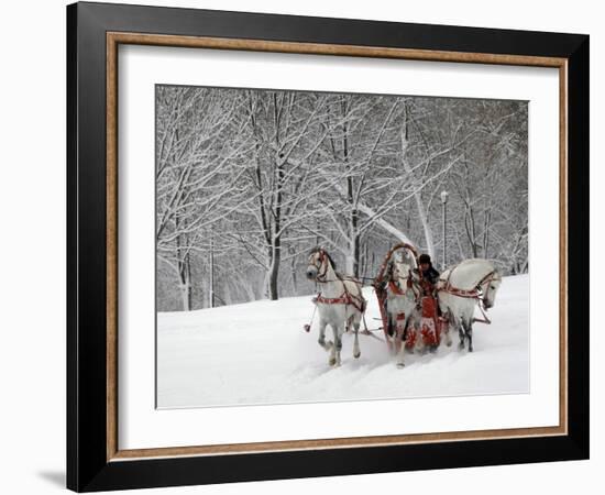 Man Rides a Sleigh Carrying Tourists in Park on a Bank of Moskva River at Outskirts of Moscow-null-Framed Photographic Print