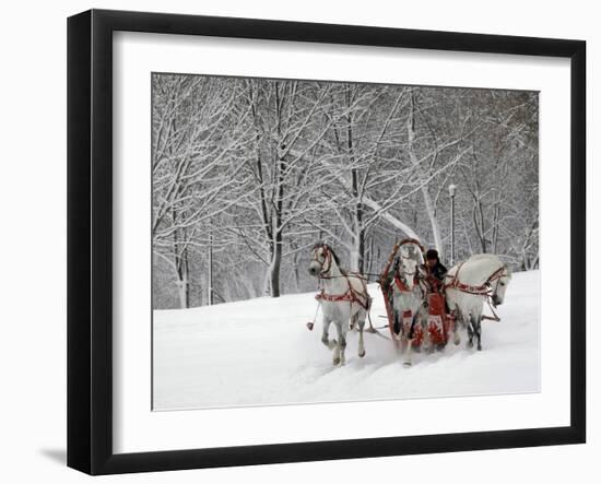 Man Rides a Sleigh Carrying Tourists in Park on a Bank of Moskva River at Outskirts of Moscow-null-Framed Photographic Print