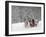 Man Rides a Sleigh Carrying Tourists in Park on a Bank of Moskva River at Outskirts of Moscow-null-Framed Photographic Print