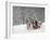 Man Rides a Sleigh Carrying Tourists in Park on a Bank of Moskva River at Outskirts of Moscow-null-Framed Photographic Print