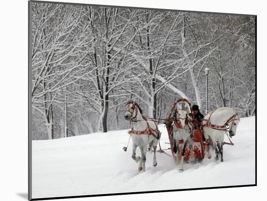 Man Rides a Sleigh Carrying Tourists in Park on a Bank of Moskva River at Outskirts of Moscow-null-Mounted Photographic Print