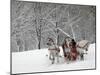 Man Rides a Sleigh Carrying Tourists in Park on a Bank of Moskva River at Outskirts of Moscow-null-Mounted Photographic Print