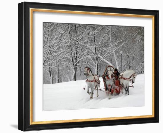 Man Rides a Sleigh Carrying Tourists in Park on a Bank of Moskva River at Outskirts of Moscow-null-Framed Photographic Print