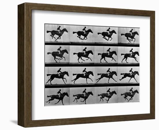 Man Riding Galloping Horse-null-Framed Photographic Print