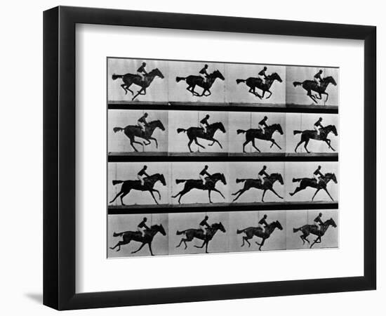 Man Riding Galloping Horse-null-Framed Photographic Print