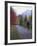 Man Riding on Paved Trail, Franconia Notch, New Hampshire, USA-Merrill Images-Framed Photographic Print