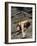 Man Rock Climbing While Tethered to Another Climber Below-null-Framed Photographic Print