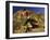 Man Rock Climbing Without Equipment-null-Framed Photographic Print