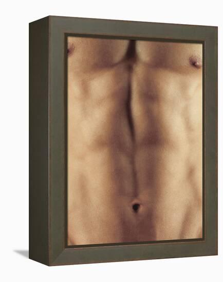 Man's Abdomen-Cristina-Framed Premier Image Canvas