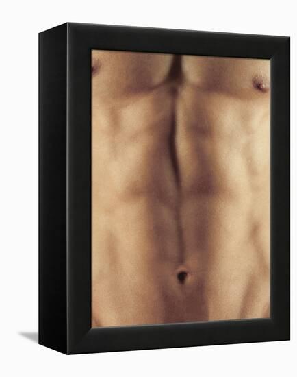 Man's Abdomen-Cristina-Framed Premier Image Canvas