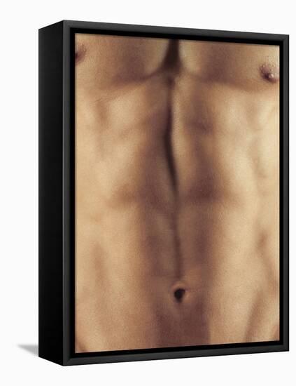 Man's Abdomen-Cristina-Framed Premier Image Canvas