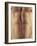 Man's Abdomen-Cristina-Framed Photographic Print