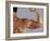 Man's Arm-Cristina-Framed Photographic Print