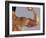 Man's Arm-Cristina-Framed Photographic Print