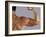 Man's Arm-Cristina-Framed Photographic Print