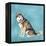 Man's Best Friend II-Debbie Nicholas-Framed Premier Image Canvas