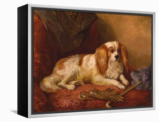 Man's Best Friend-Arthur James Stark-Framed Premier Image Canvas