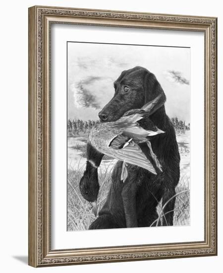 Man's Best Friend-Chuck Black-Framed Giclee Print