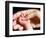 Man's Hand Holding Baby's Hand-Mitch Diamond-Framed Photographic Print
