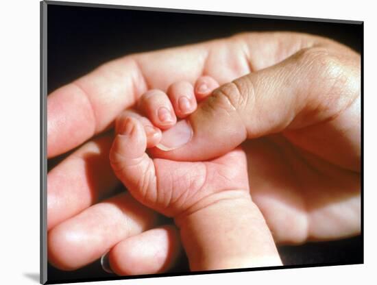 Man's Hand Holding Baby's Hand-Mitch Diamond-Mounted Photographic Print
