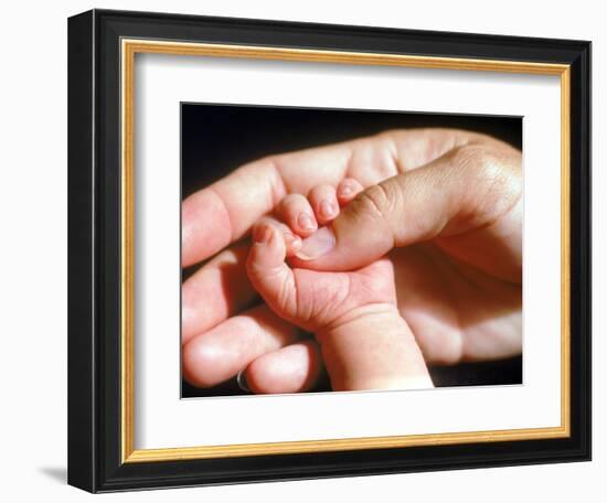 Man's Hand Holding Baby's Hand-Mitch Diamond-Framed Photographic Print