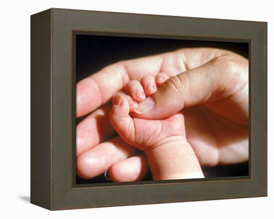 Man's Hand Holding Baby's Hand-Mitch Diamond-Framed Premier Image Canvas