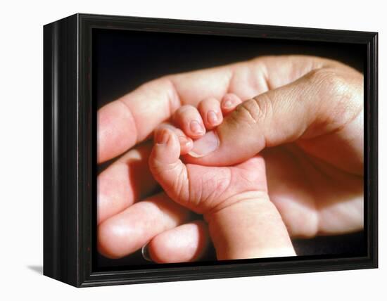 Man's Hand Holding Baby's Hand-Mitch Diamond-Framed Premier Image Canvas