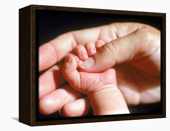 Man's Hand Holding Baby's Hand-Mitch Diamond-Framed Premier Image Canvas