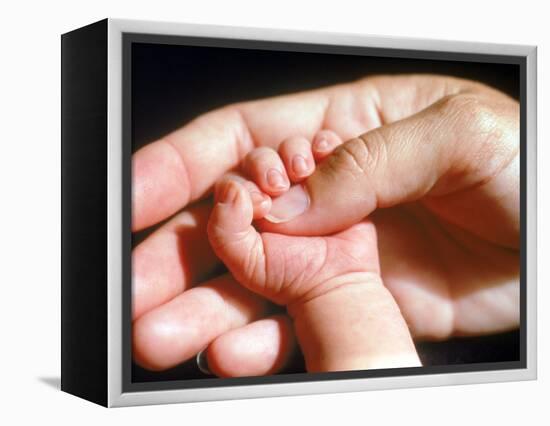 Man's Hand Holding Baby's Hand-Mitch Diamond-Framed Premier Image Canvas