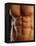 Man's Torso-Chris Trotman-Framed Premier Image Canvas