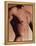 Man's Torso-Cristina-Framed Premier Image Canvas