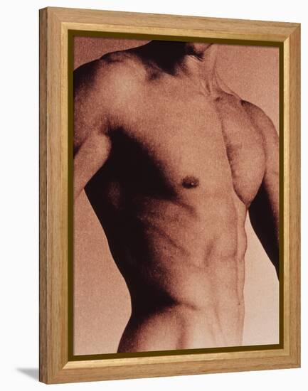 Man's Torso-Cristina-Framed Premier Image Canvas