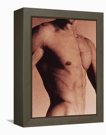 Man's Torso-Cristina-Framed Premier Image Canvas