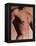 Man's Torso-Cristina-Framed Premier Image Canvas